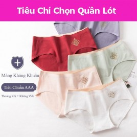 Cách Giúp Chị Em Lựa Chọn Đồ Lót Thoải Mái, An Toàn, Nóng Bỏng Khi Mặc