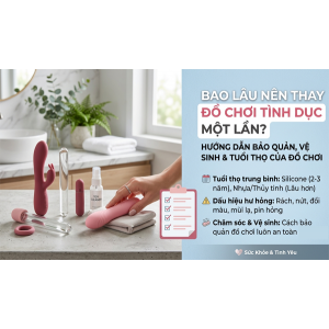 Bao Lâu Nên Thay Đồ Chơi Tình Dục Một Lần?